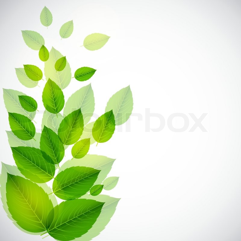 Abstract Leaf Vector At Vectorified Collection Of Abstract Leaf