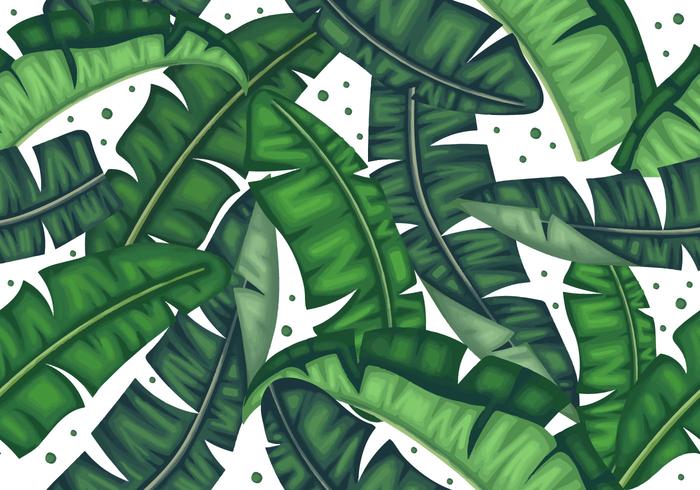 Banana Leaf Pattern Vector At Vectorified Collection Of Banana