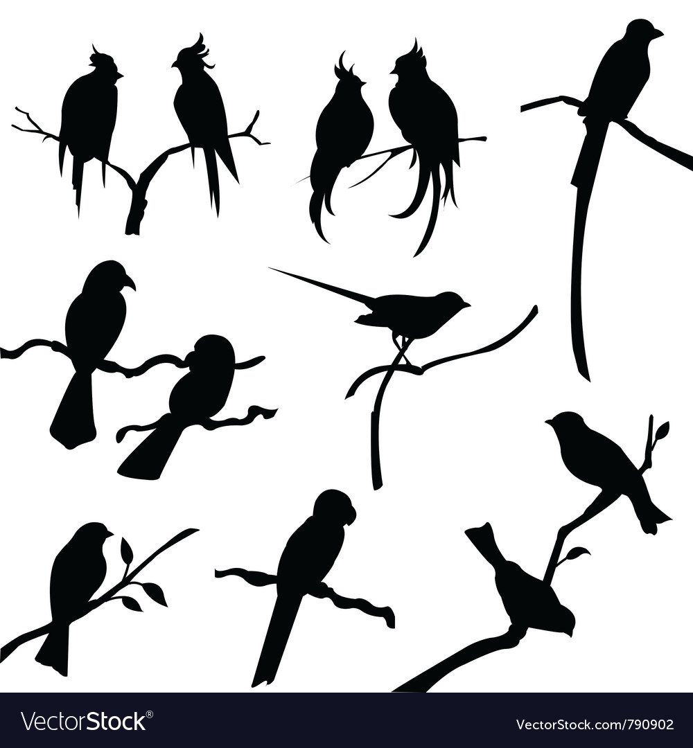 Bird Silhouette Vector Free At Vectorified Collection Of Bird