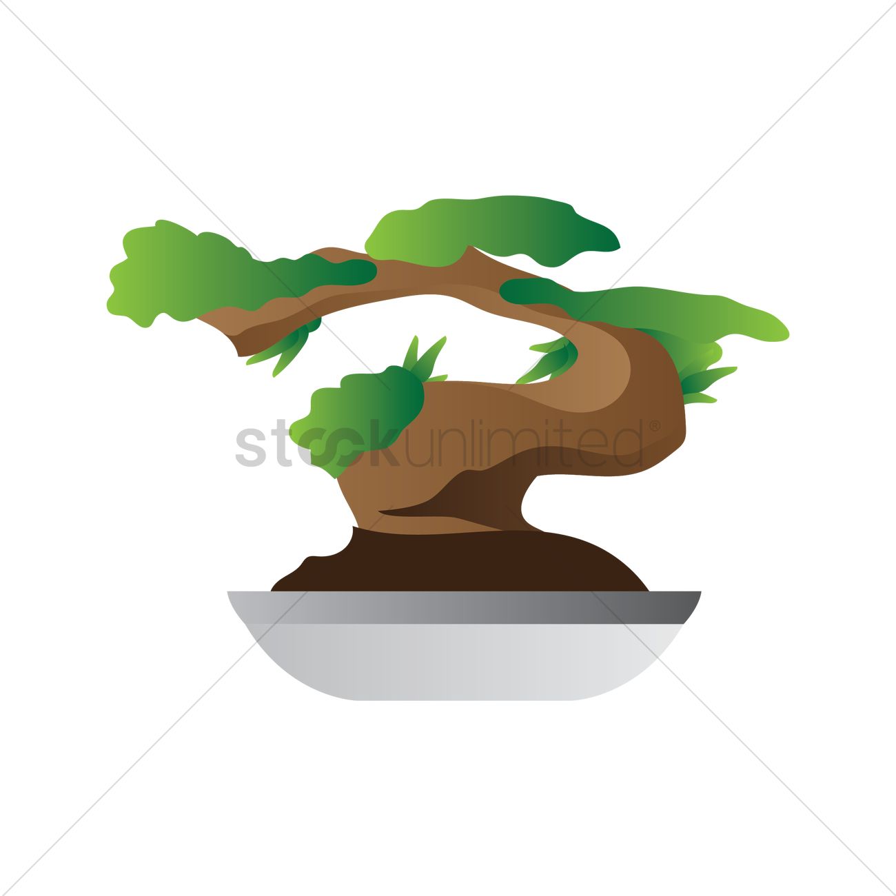 Bonsai Tree Vector At Vectorified Collection Of Bonsai Tree