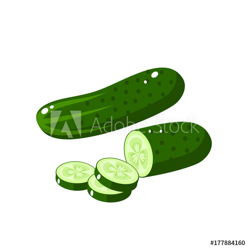 Cucumber Vector At Vectorified Collection Of Cucumber Vector Free