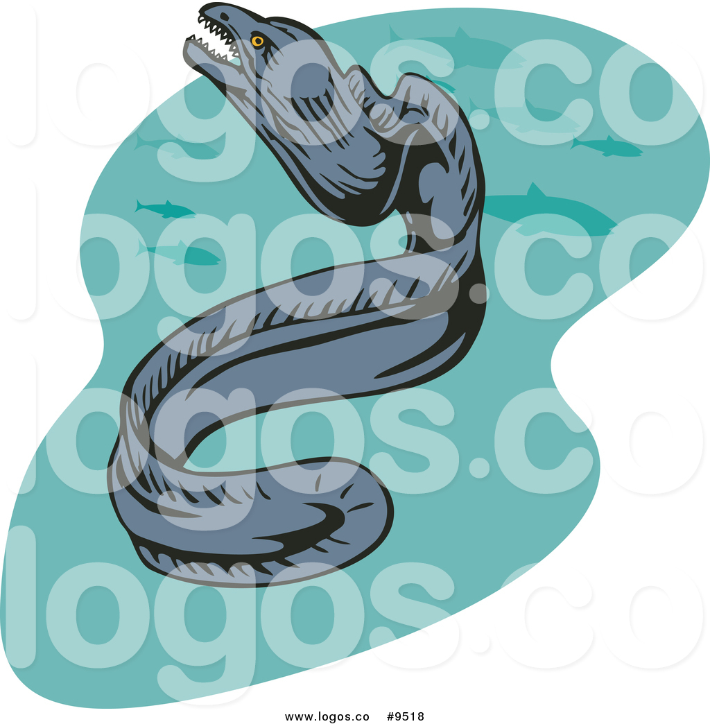 Eel Vector At Vectorified Collection Of Eel Vector Free For