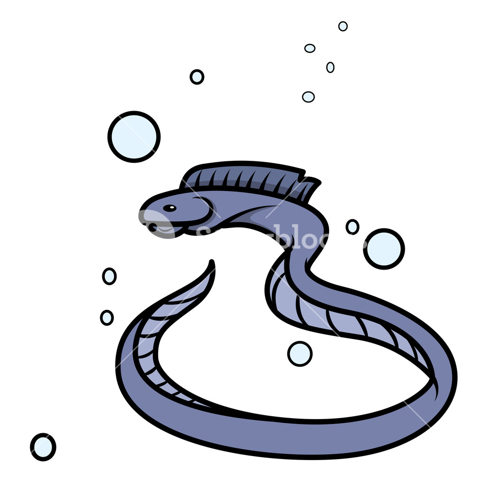 Eel Vector At Vectorified Collection Of Eel Vector Free For