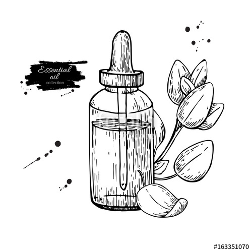 Essential Oil Vector At Vectorified Collection Of Essential Oil