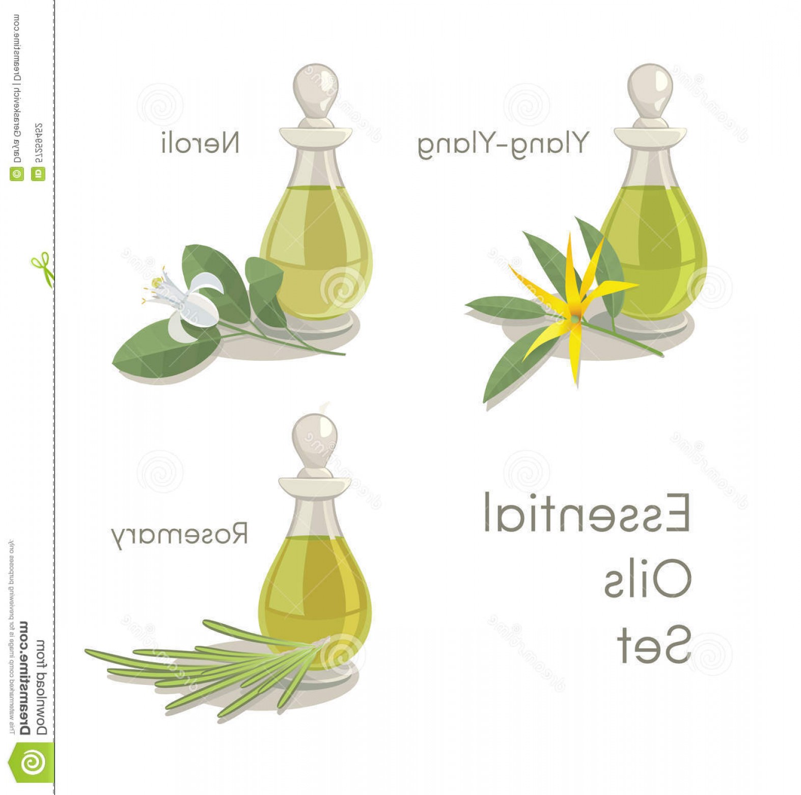 Essential Oil Vector At Vectorified Collection Of Essential Oil