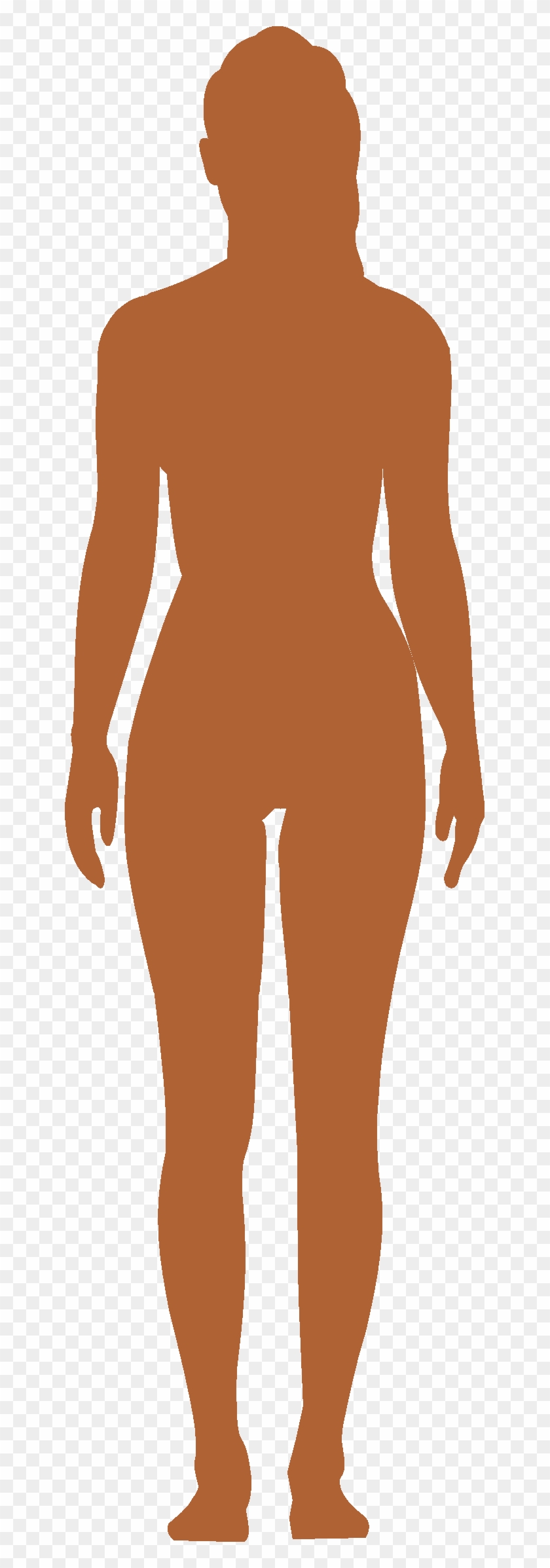 Female Body Vector At Vectorified Collection Of Female Body