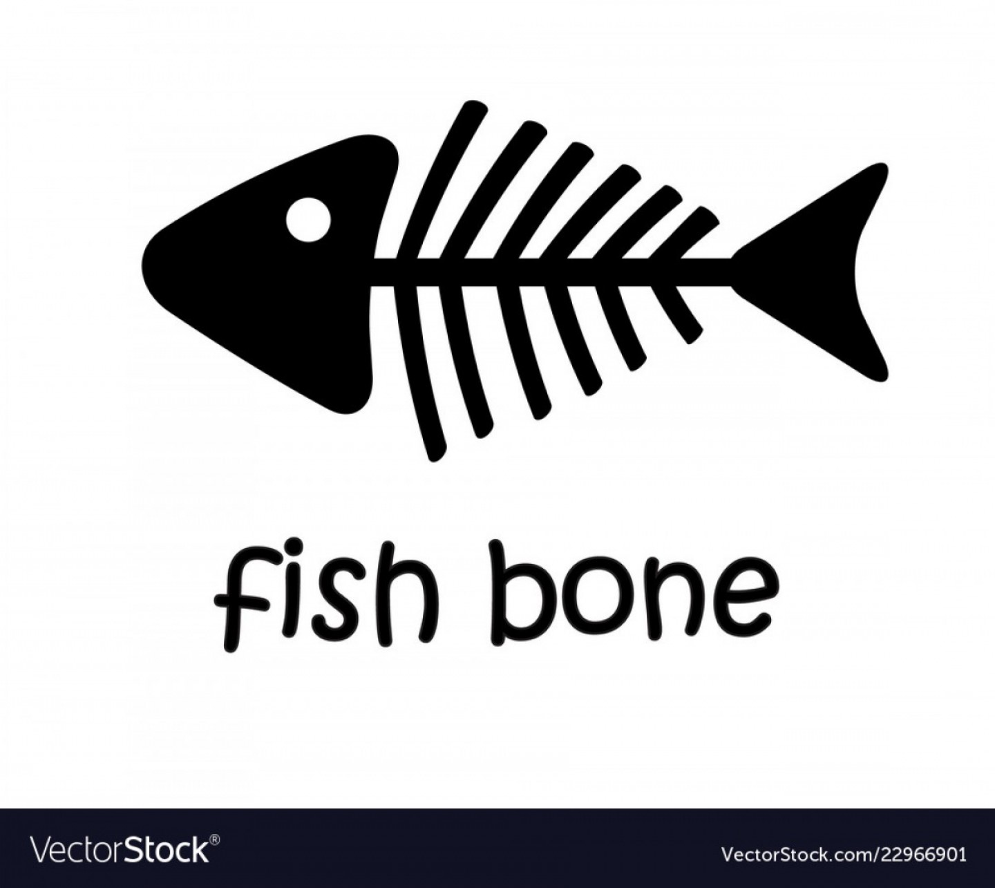 Fish Bone Vector At Vectorified Collection Of Fish Bone Vector