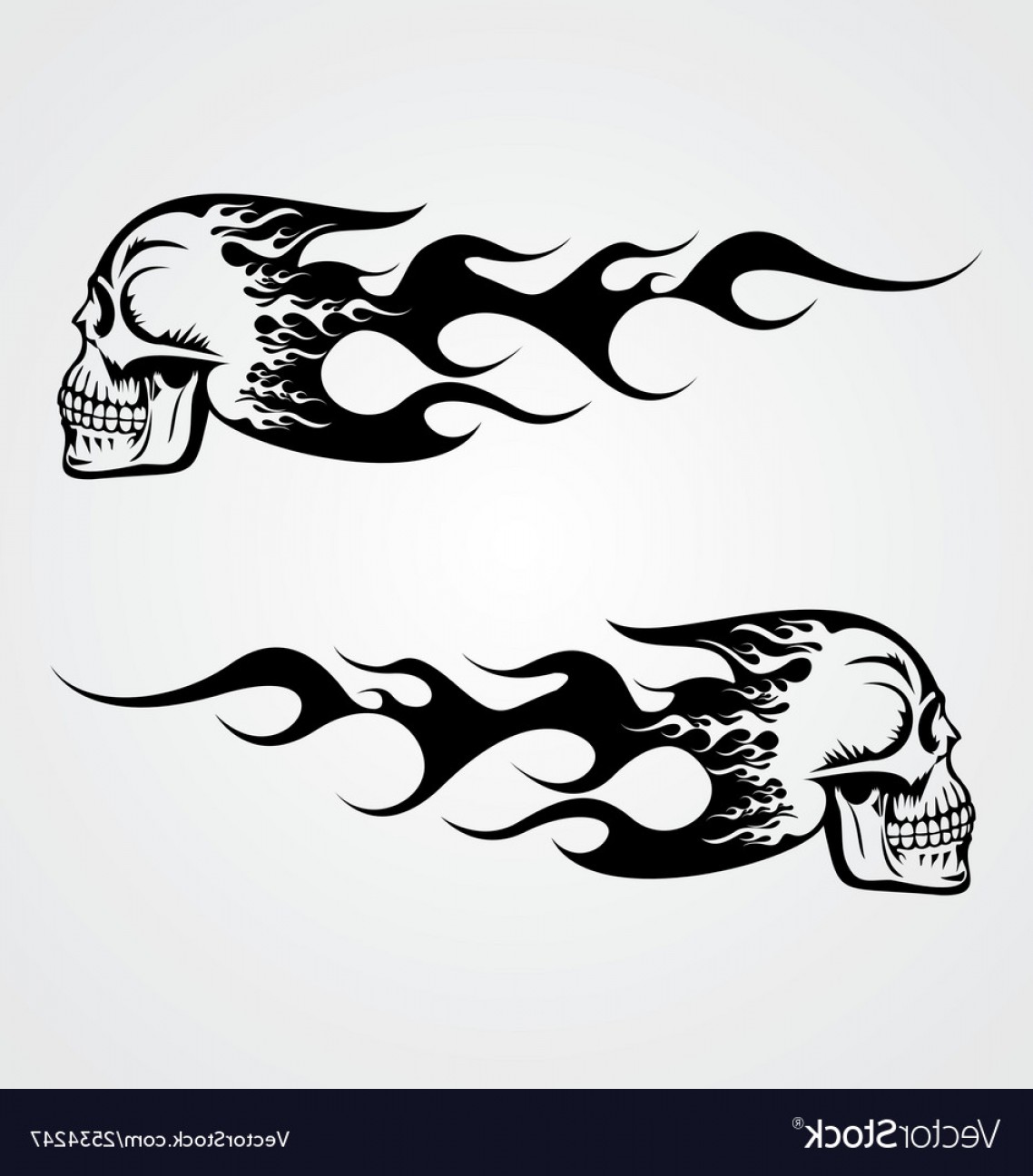 Willie G Skull Vector At Vectorifiedcom Collection Of