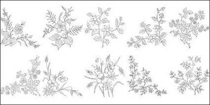 Flower Drawing Vector At Vectorified Collection Of Flower Drawing