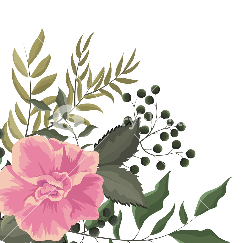 Flower Drawing Vector At Vectorified Collection Of Flower Drawing