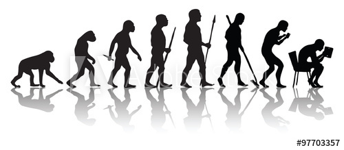 Human Evolution Vector At Vectorified Collection Of Human