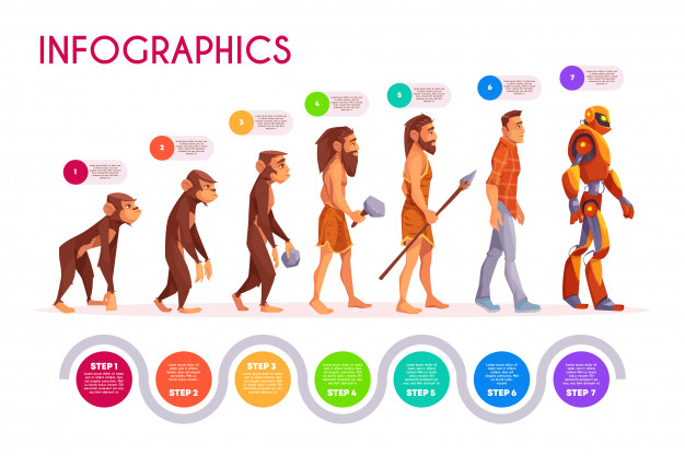 Human Evolution Vector At Vectorified Collection Of Human