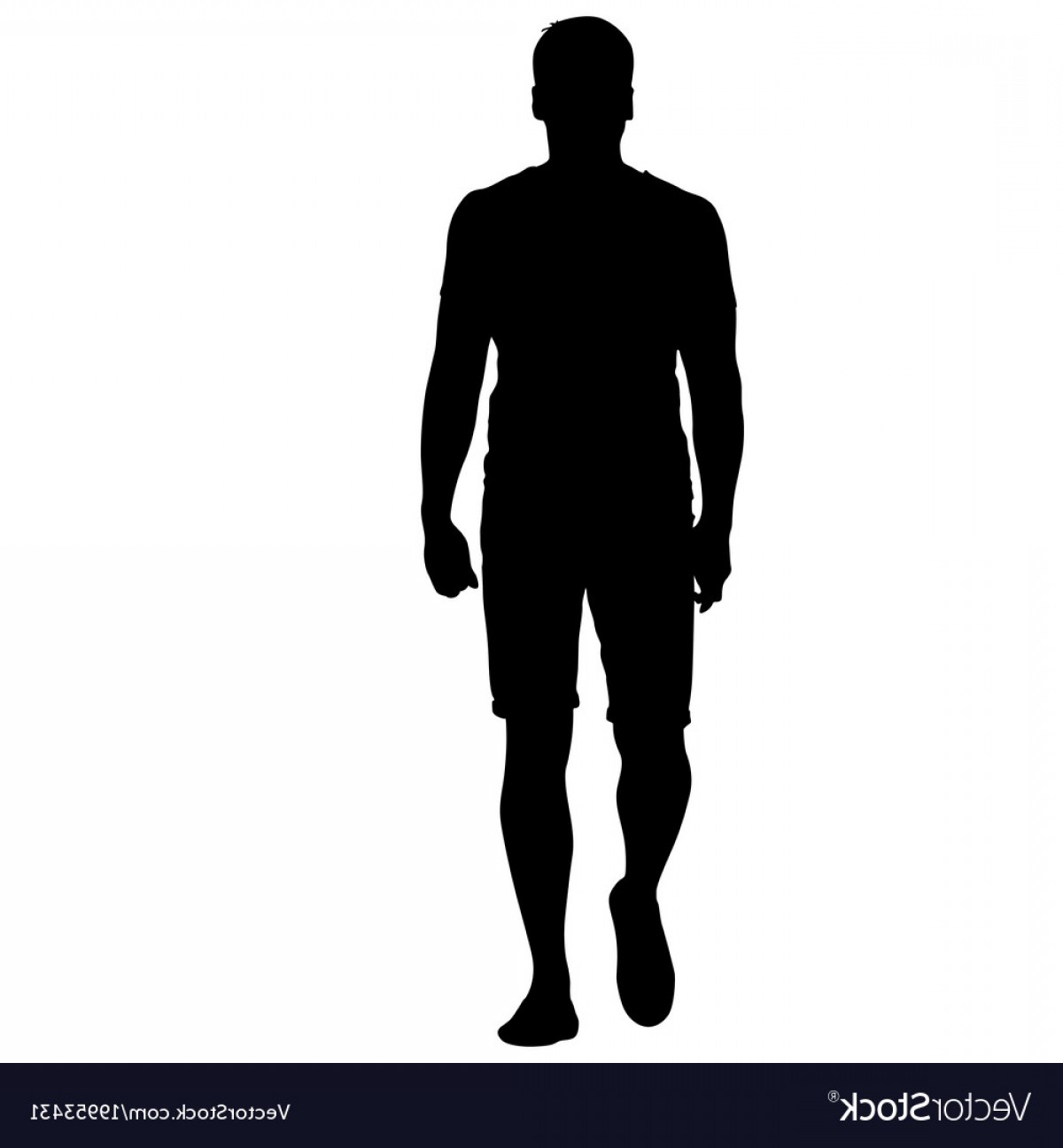 Human Figure Vector At Vectorified Collection Of Human Figure