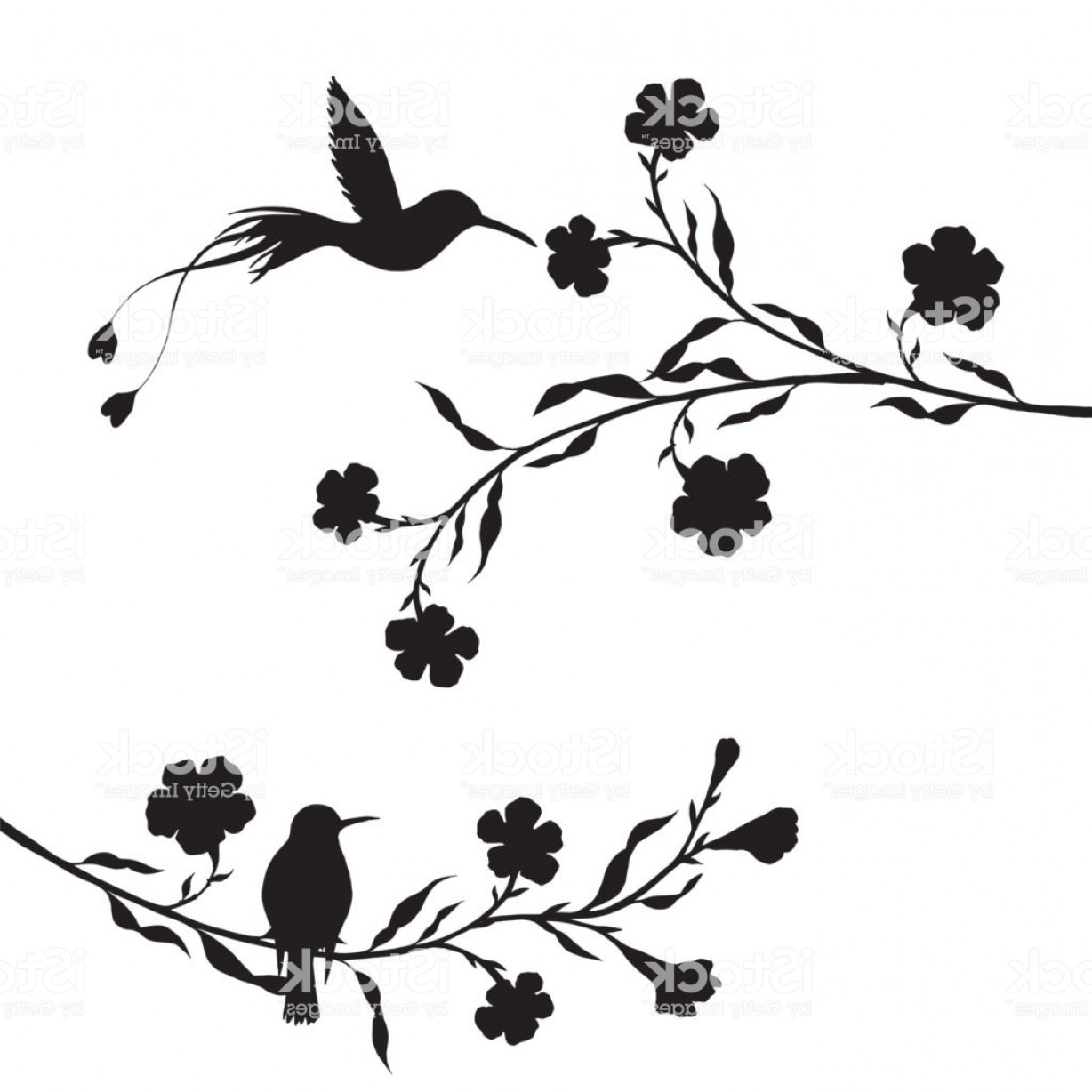 Hummingbird Silhouette Vector At Vectorified Collection Of