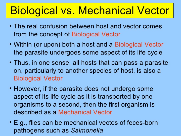 Mechanical Vector Example At Vectorified Collection Of Mechanical