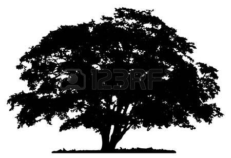 Oak Tree Silhouette Vector Free At Vectorified Collection Of Oak