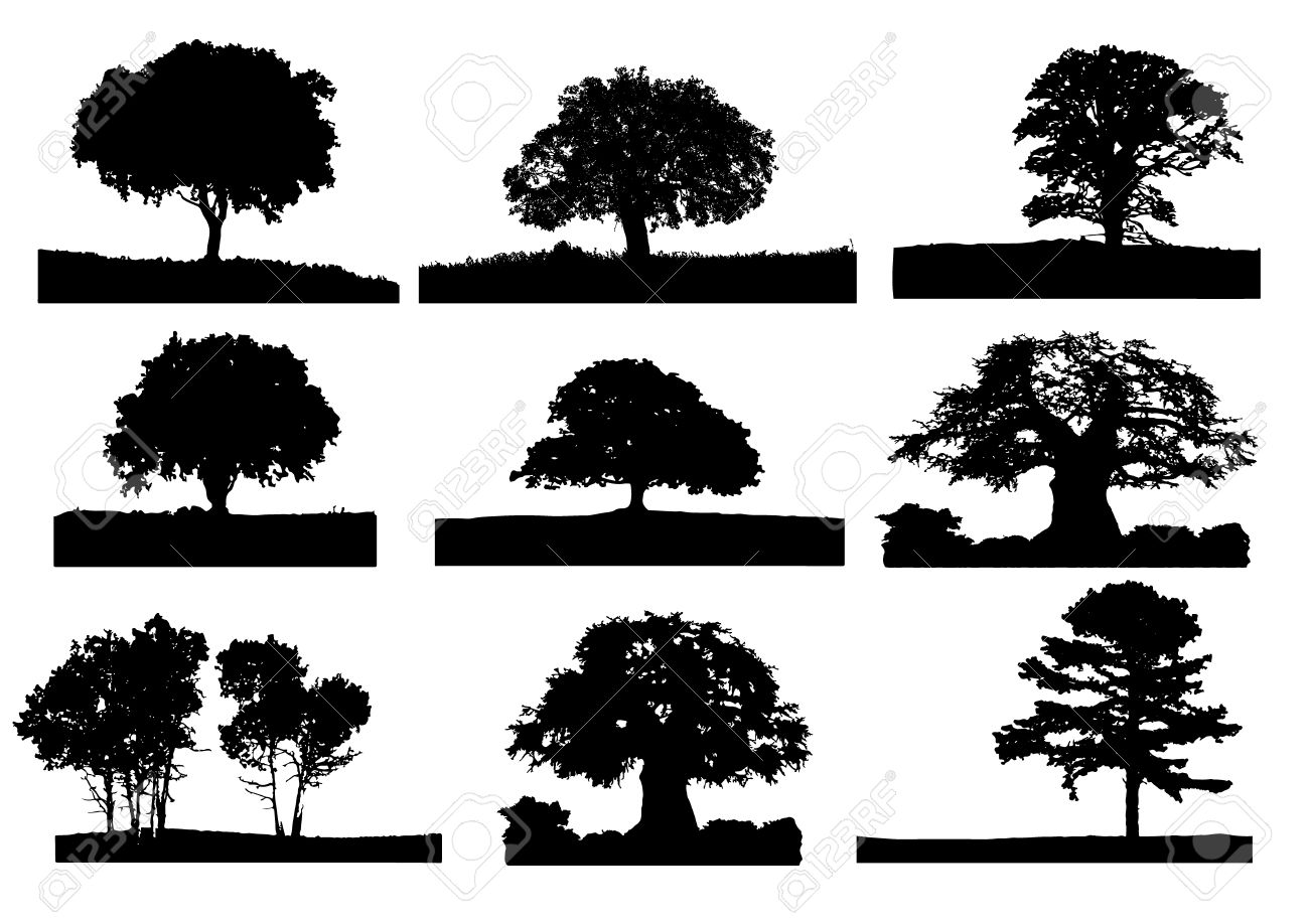 Oak Tree Silhouette Vector Free At Vectorified Collection Of Oak