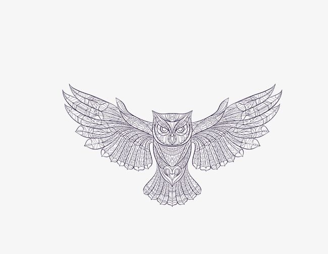 Owl Wings Vector At Vectorified Collection Of Owl Wings Vector