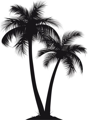 Palmera Vector At Vectorified Collection Of Palmera Vector Free