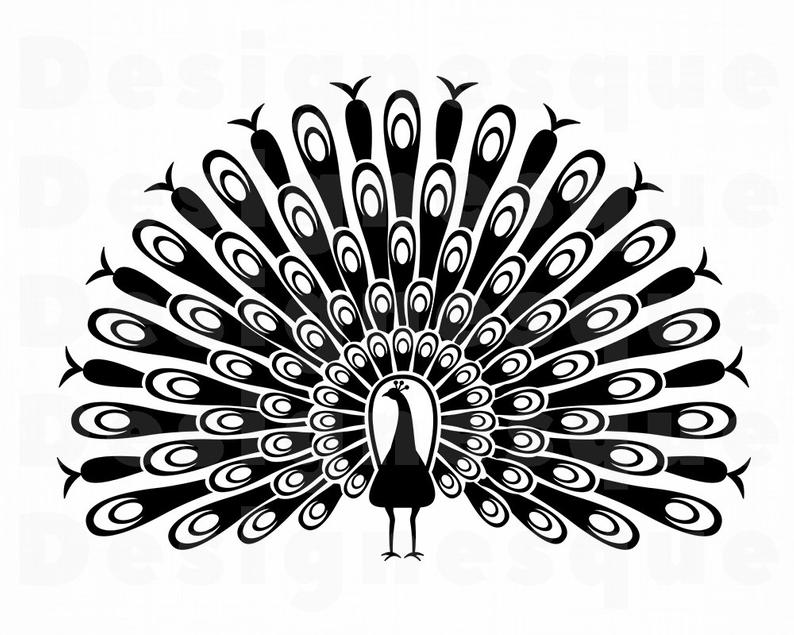 Peacock Silhouette Vector At Vectorified Collection Of Peacock