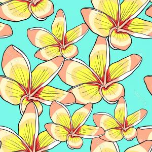 Plumeria Flower Vector At Vectorified Collection Of Plumeria