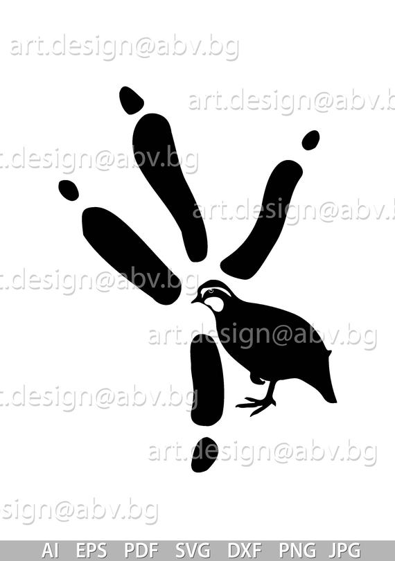 Quail Vector At Vectorified Collection Of Quail Vector Free For