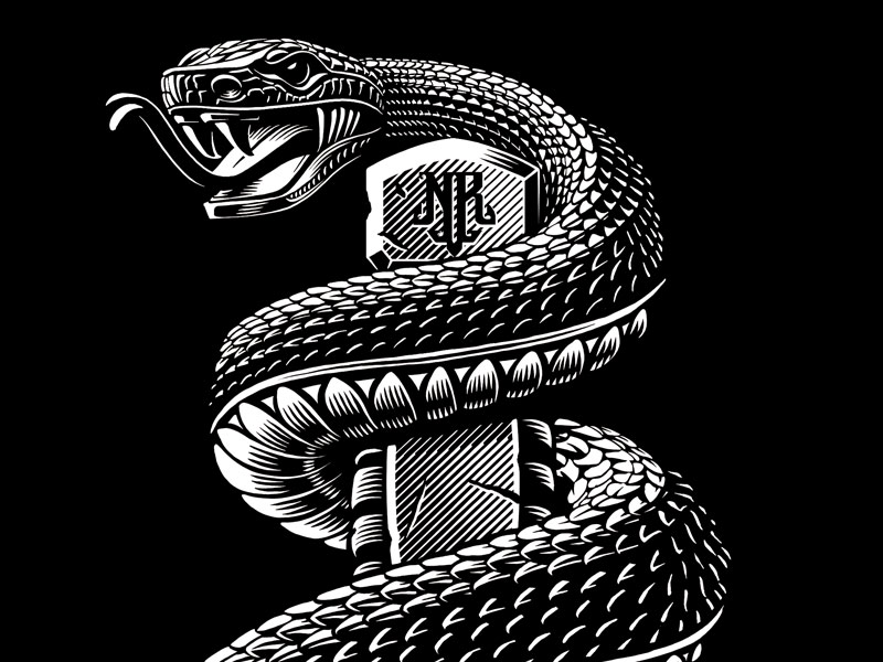 Rattlesnake Vector At Vectorified Collection Of Rattlesnake