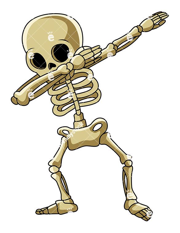 Human Skeleton Vector At Vectorified Collection Of Human Skeleton