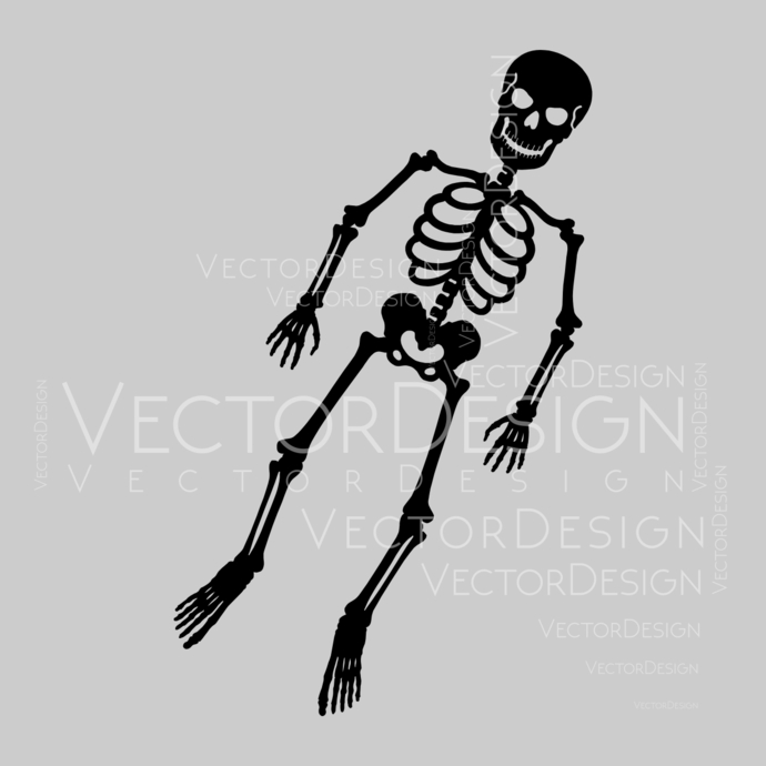 Skeleton Vector Art At Vectorified Collection Of Skeleton Vector