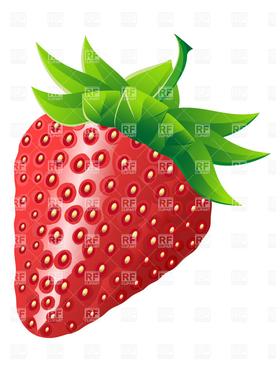 Strawberry Vector Free At Vectorified Collection Of Strawberry