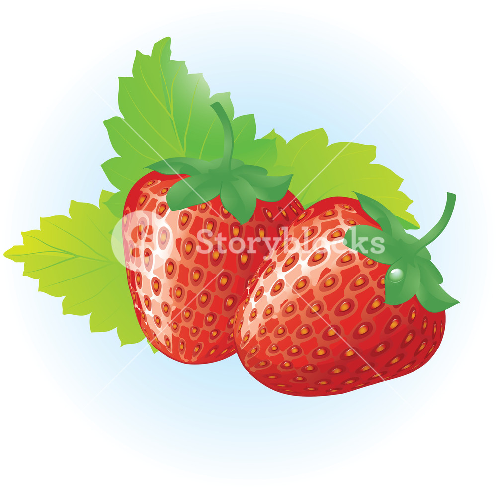 Strawberry Vector Free At Vectorified Collection Of Strawberry