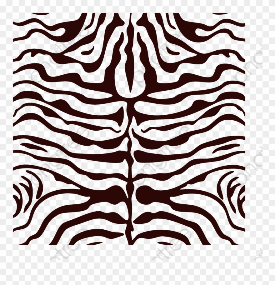 Tiger Stripes Vector At Vectorified Collection Of Tiger Stripes