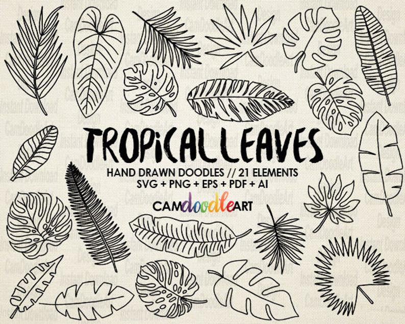 Tropical Leaves Painting At Paintingvalley Explore Collection Of