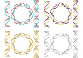 Vector Double Helix At Vectorified Collection Of Vector Double