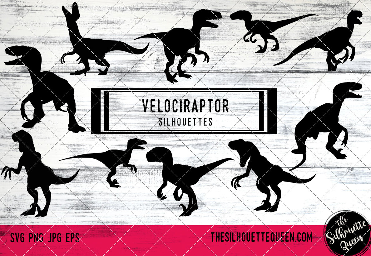 Velociraptor Vector At Vectorified Collection Of Velociraptor