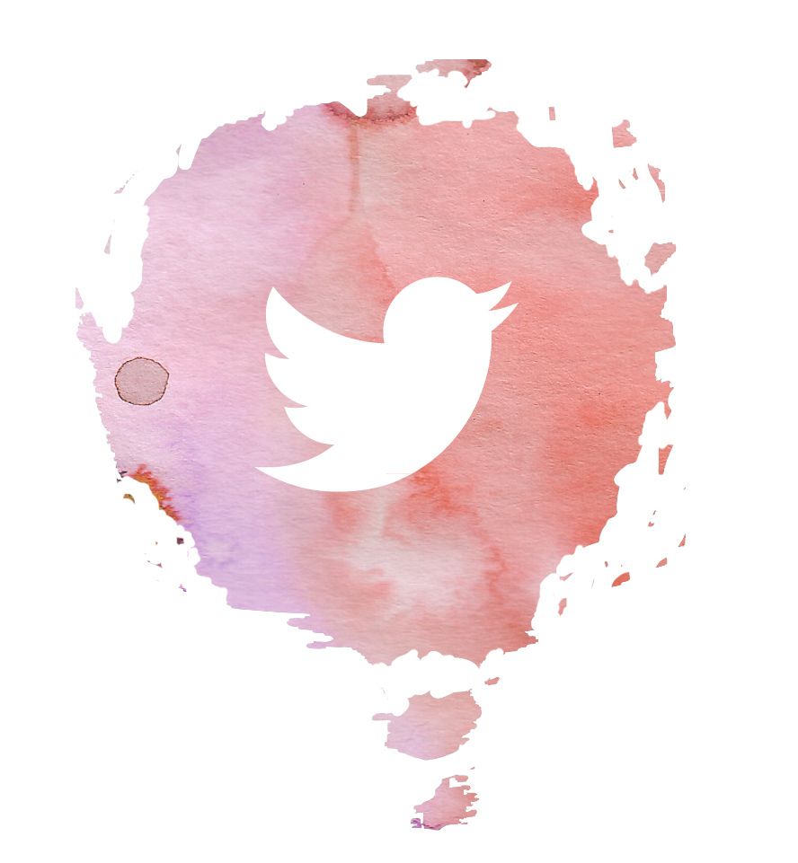 Pink Twitter Icon At Vectorified Collection Of Pink Twitter Icon