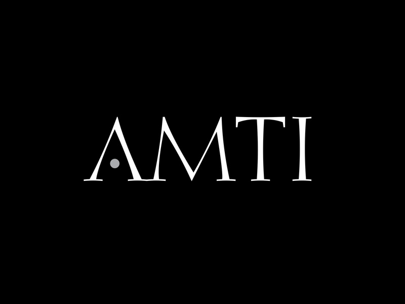 800x600 Ari Karnovski Portfolio Logo