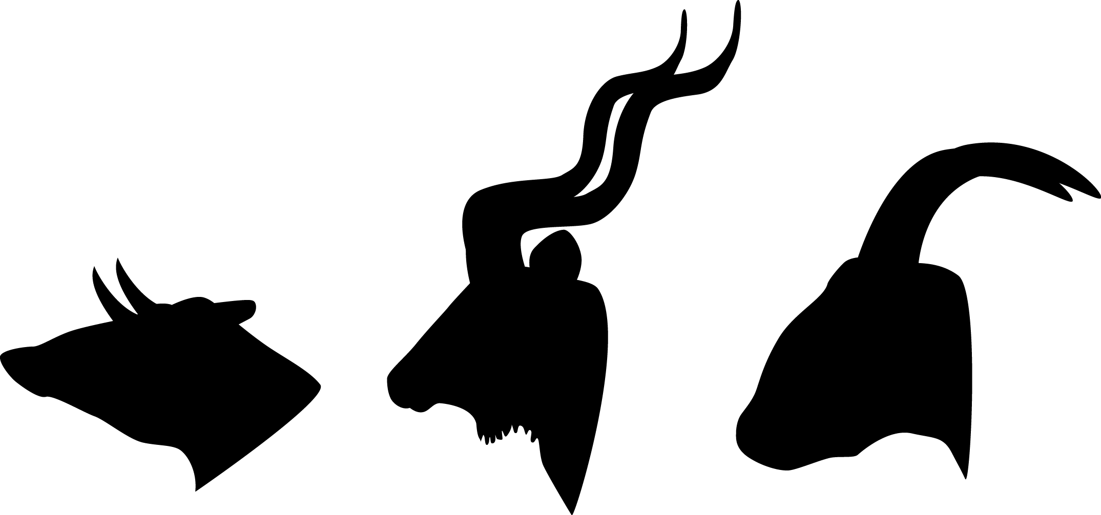 2149x1006 Art Expansion