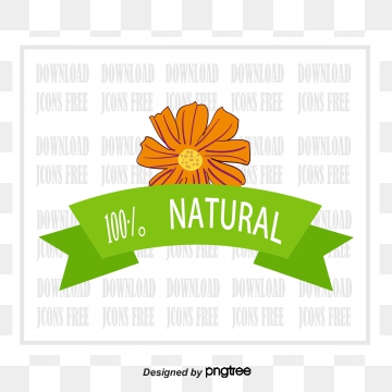 360x360 Natural Png, Vector, And Clipart With Transparent
