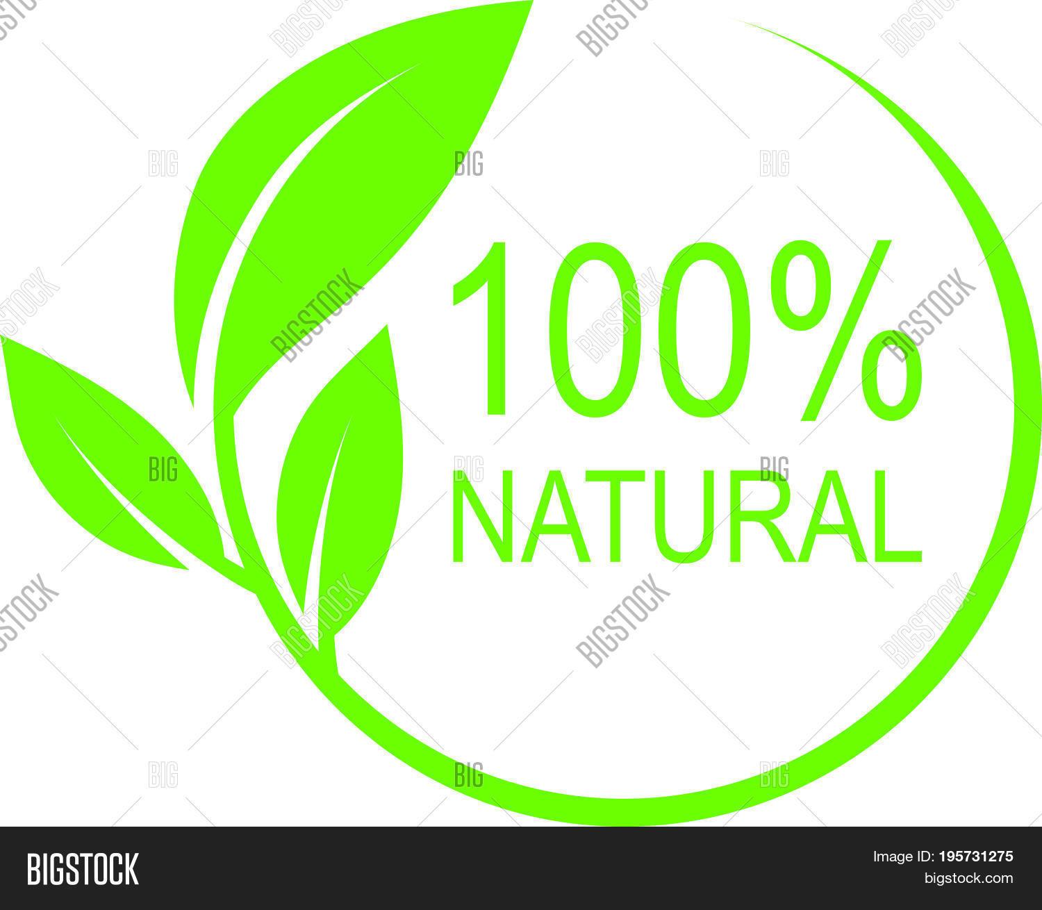 1500x1310 Natural Vector Logo Design Vector