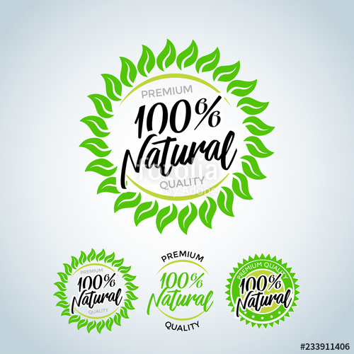500x500 Natural Vector Lettering Stamp Illustration Nature Logo