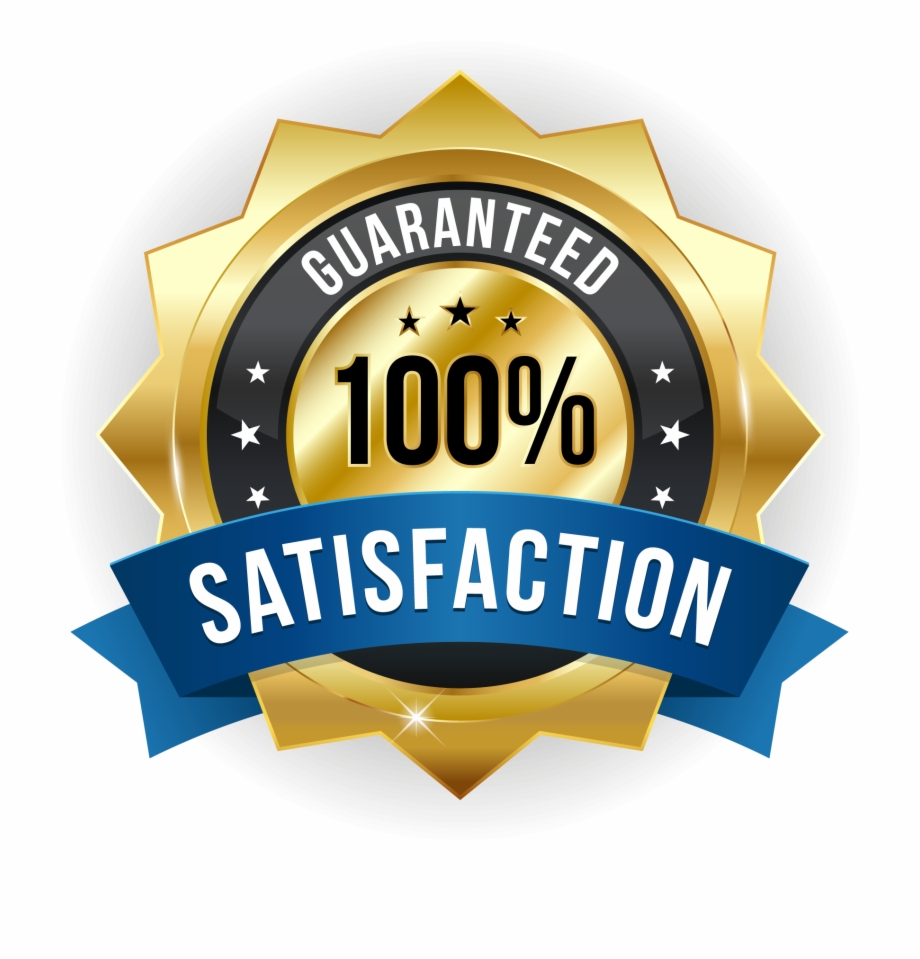 920x959 Vector Satisfaction