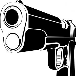 300x300 Pistol Gun Fire Caliber Vector Soidergi