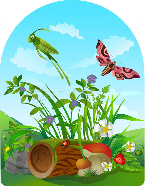 468x600 Vector Summer Illustration Insect Vector Illustration Olena