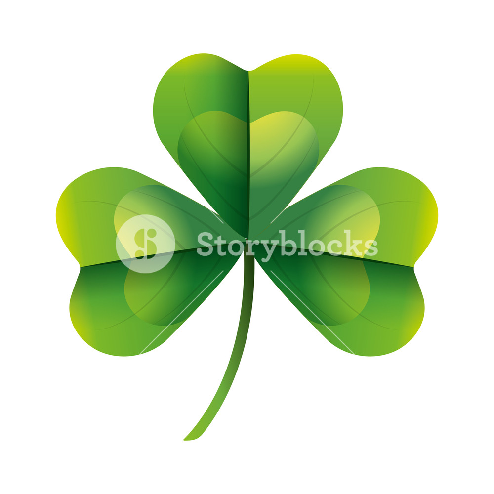 1000x1000 Three Leaf Clover Vector Illustration Royalty Free Stock Image