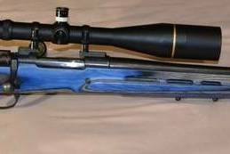 259x173 Custom Built Calibre Vector Polychrome