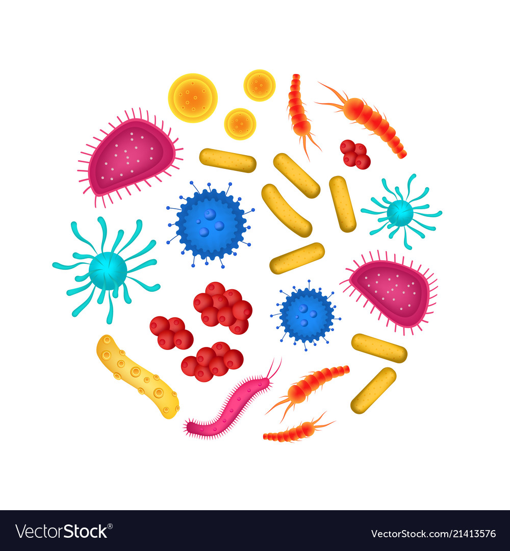 1000x1080 Bacteria Clipart Realistic