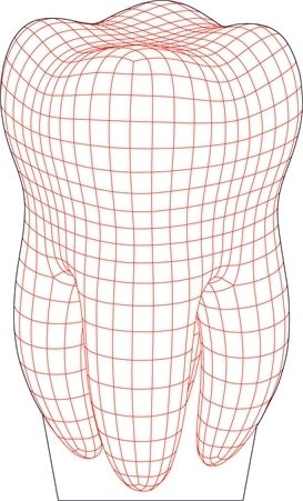 273x451 Tooth Illusion Vector Drawing Design Plakat Trophy