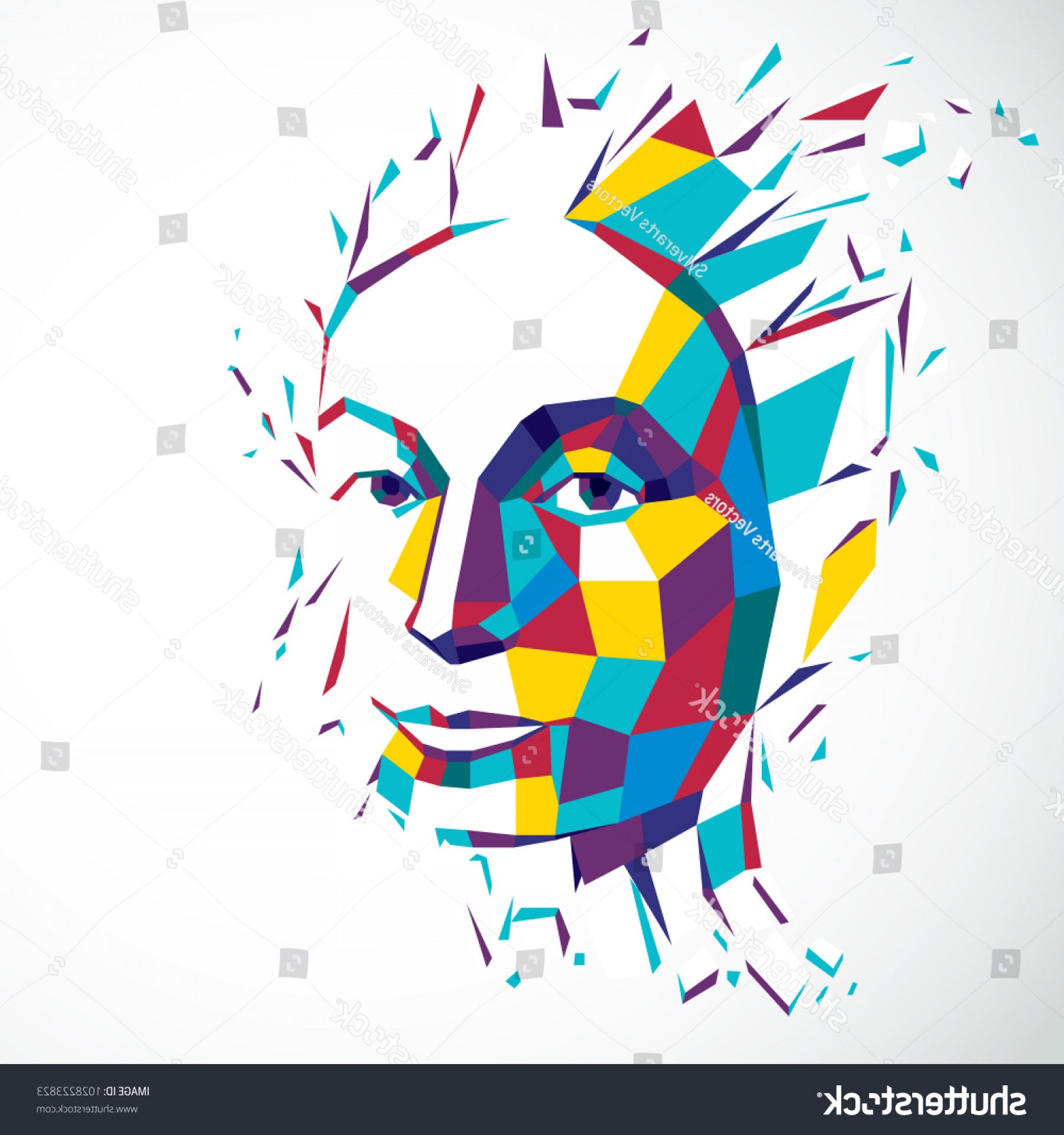 1800x1920 Vector Graphics Face Sarahgardan