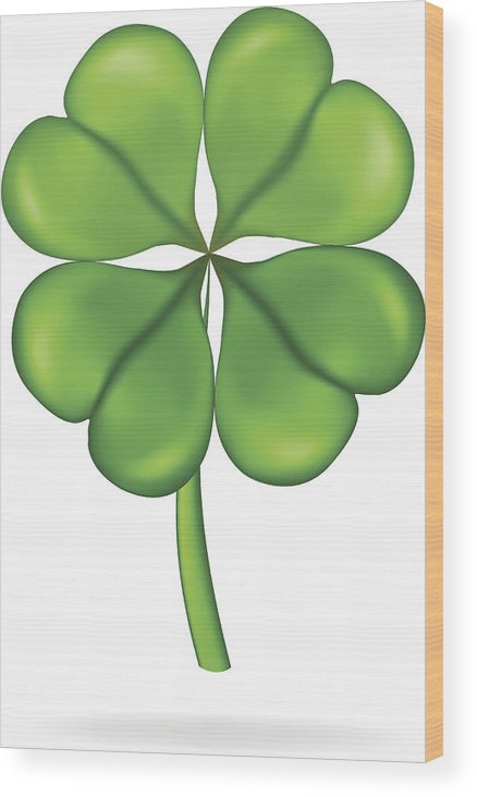 438x732 Four Leaf Clover Vector Illustration St Patrick's Day Symbol